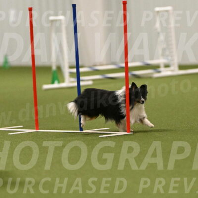 Gizmo-Kim-Finlayson-10766