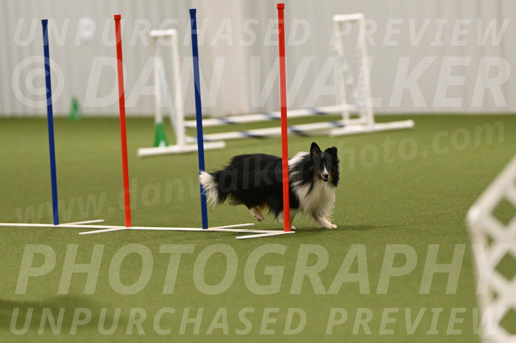 Gizmo-Kim-Finlayson-10767