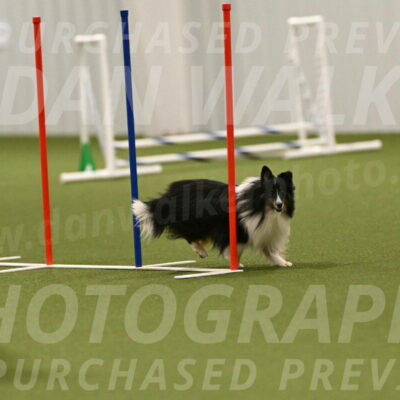 Gizmo-Kim-Finlayson-10767