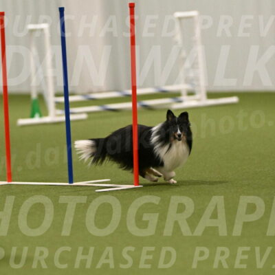 Gizmo-Kim-Finlayson-10768