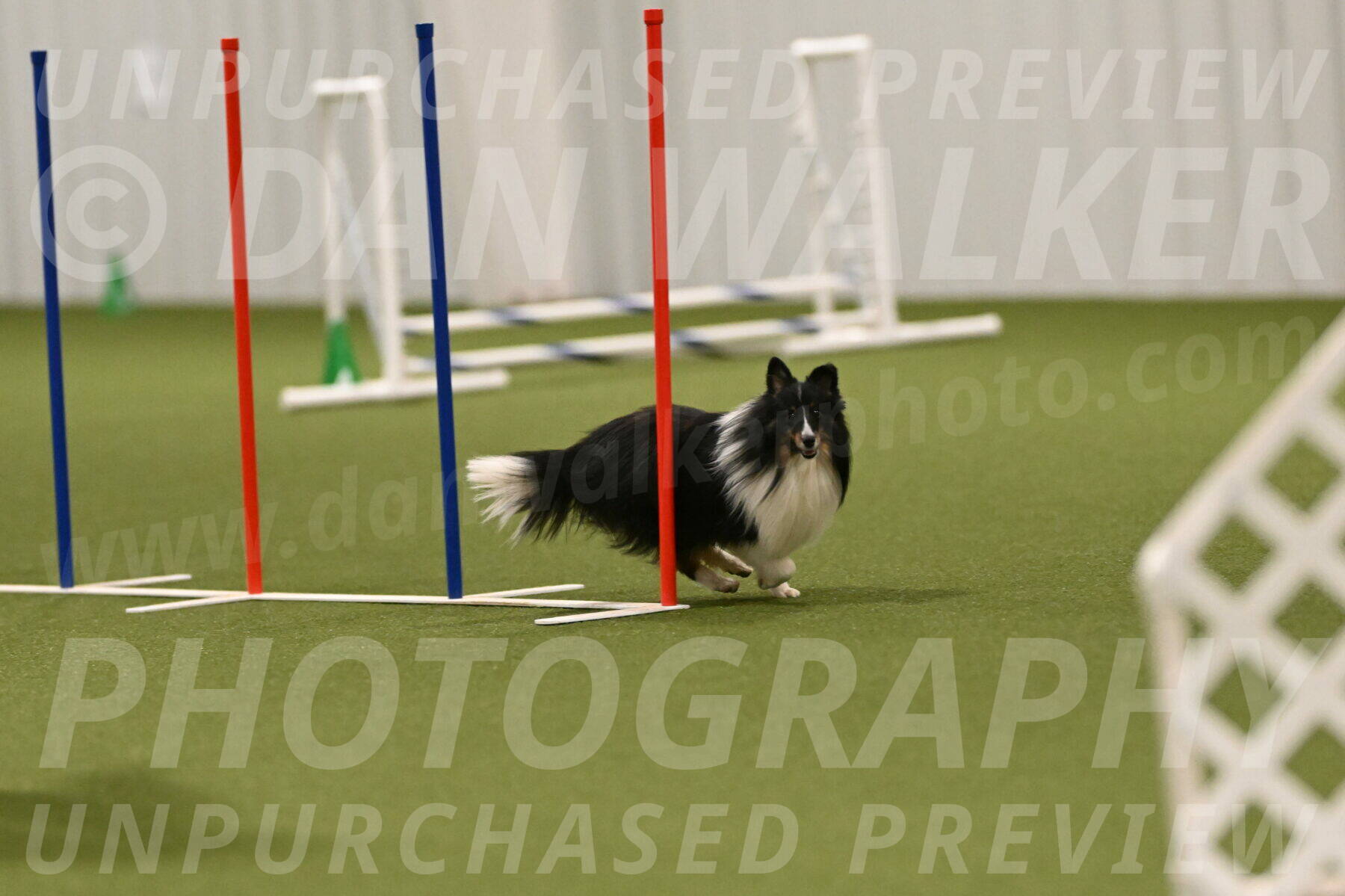 Gizmo-Kim-Finlayson-10768