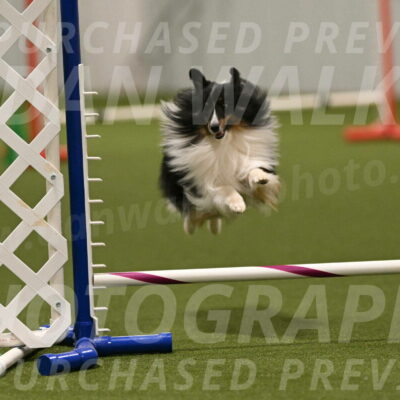 Gizmo-Kim-Finlayson-10769