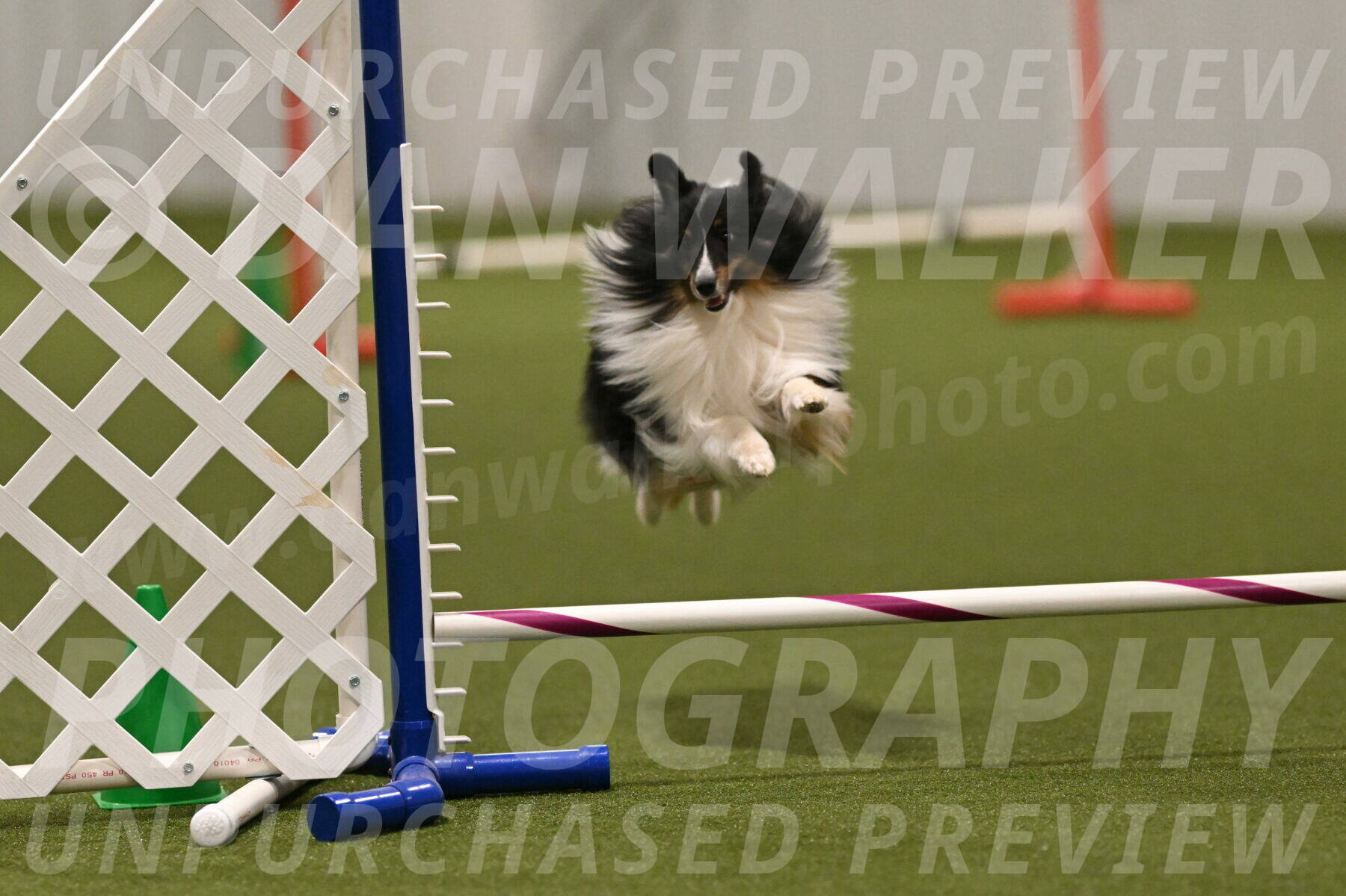 Gizmo-Kim-Finlayson-10769