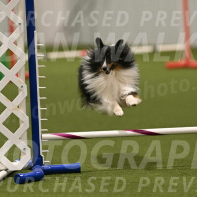 Gizmo-Kim-Finlayson-10770