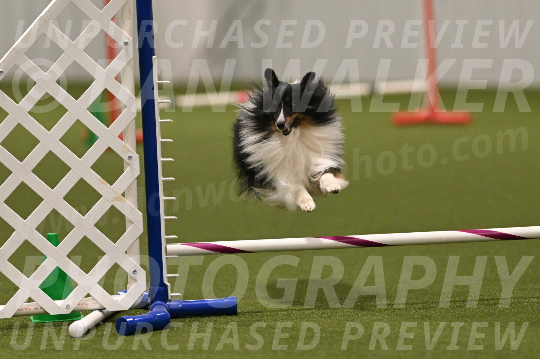 Gizmo-Kim-Finlayson-10770