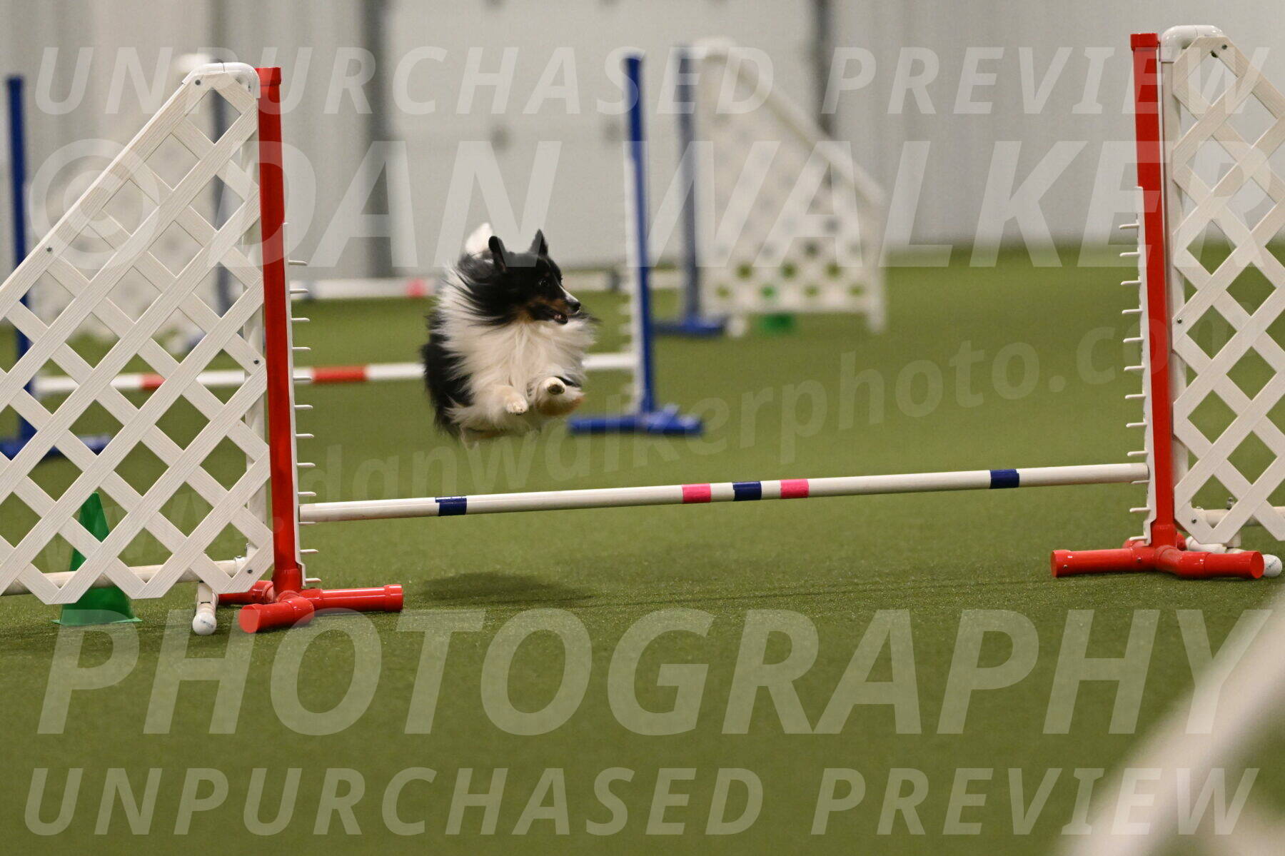 Gizmo-Kim-Finlayson-10771