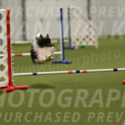 Gizmo-Kim-Finlayson-10771