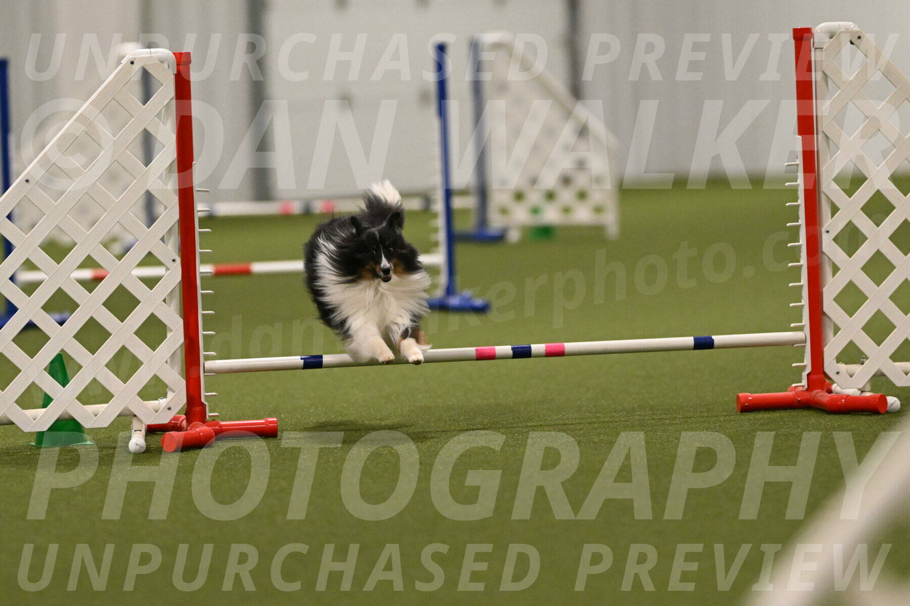 Gizmo-Kim-Finlayson-10772