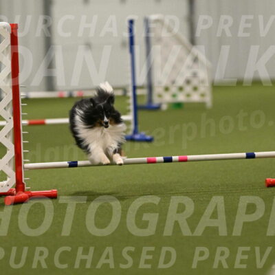 Gizmo-Kim-Finlayson-10772