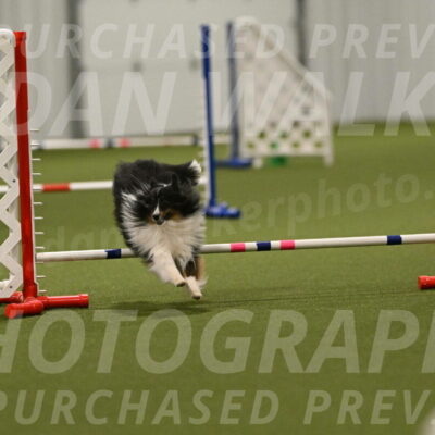 Gizmo-Kim-Finlayson-10773