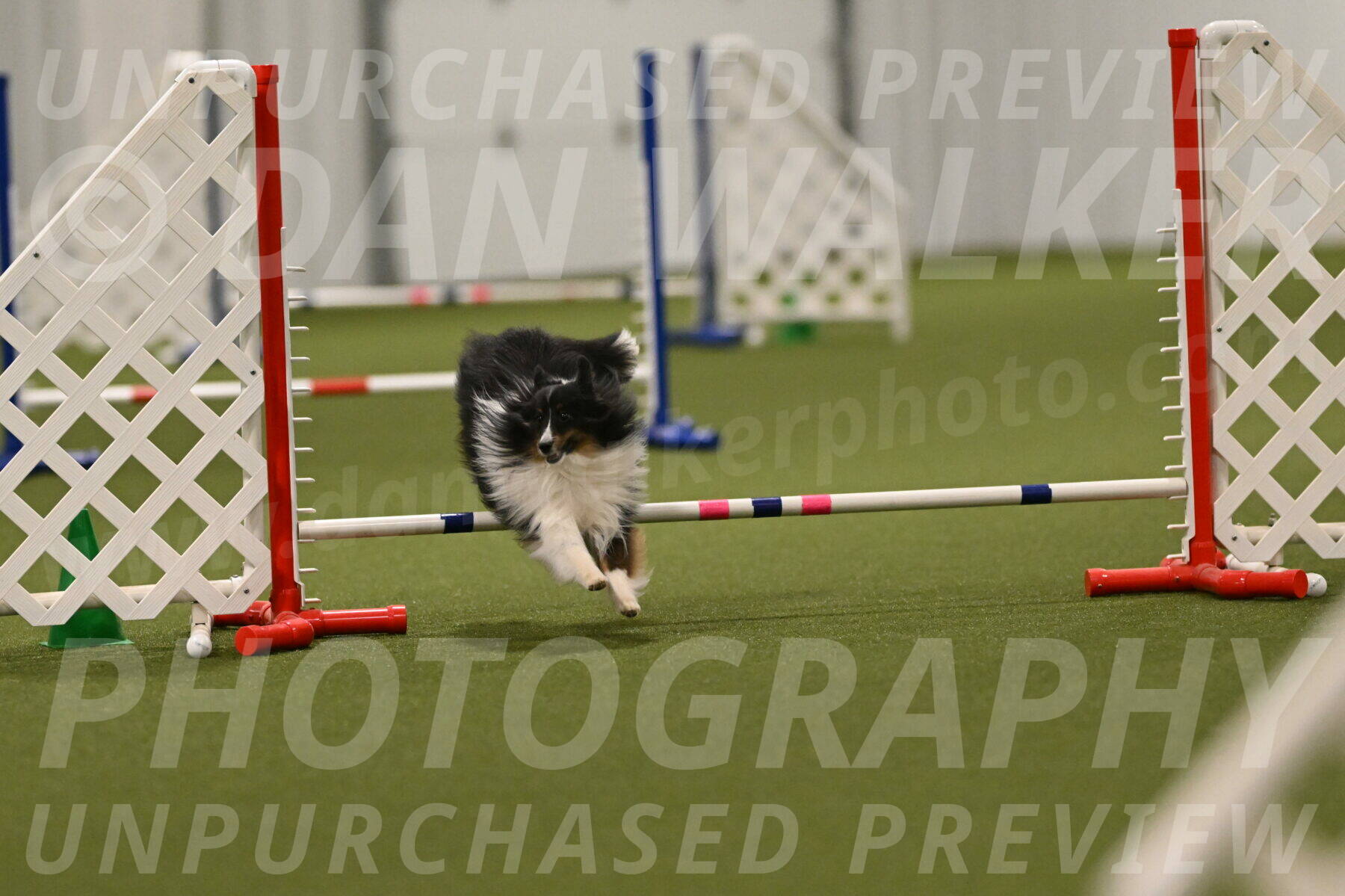 Gizmo-Kim-Finlayson-10773