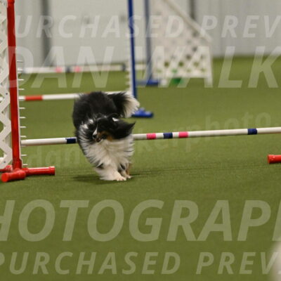 Gizmo-Kim-Finlayson-10774