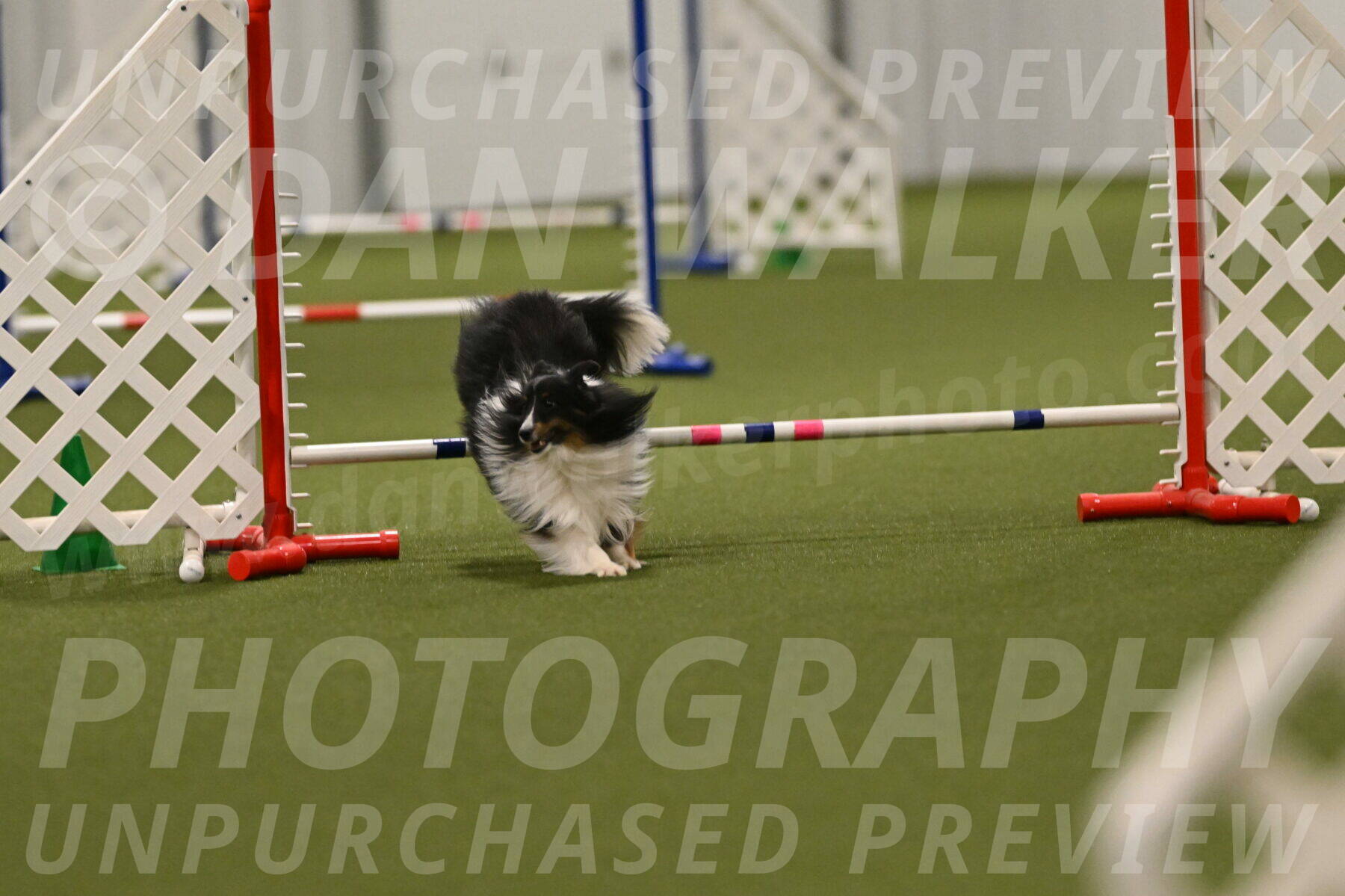 Gizmo-Kim-Finlayson-10774