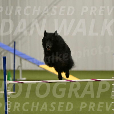 Grande-Viola-Dyer-04819