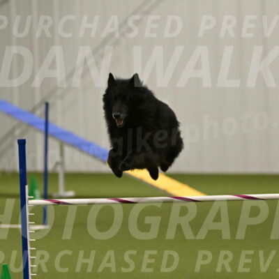 Grande-Viola-Dyer-04820