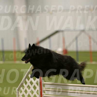 Grande-Viola-Dyer-04822