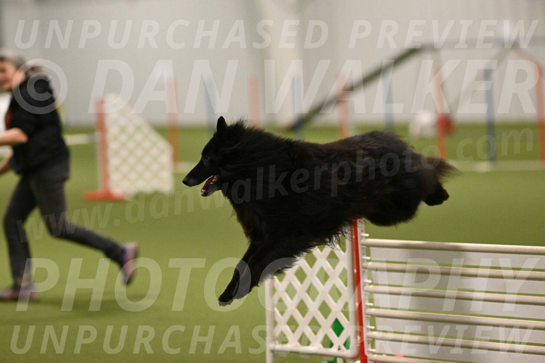 Grande-Viola-Dyer-04823