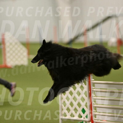 Grande-Viola-Dyer-04823