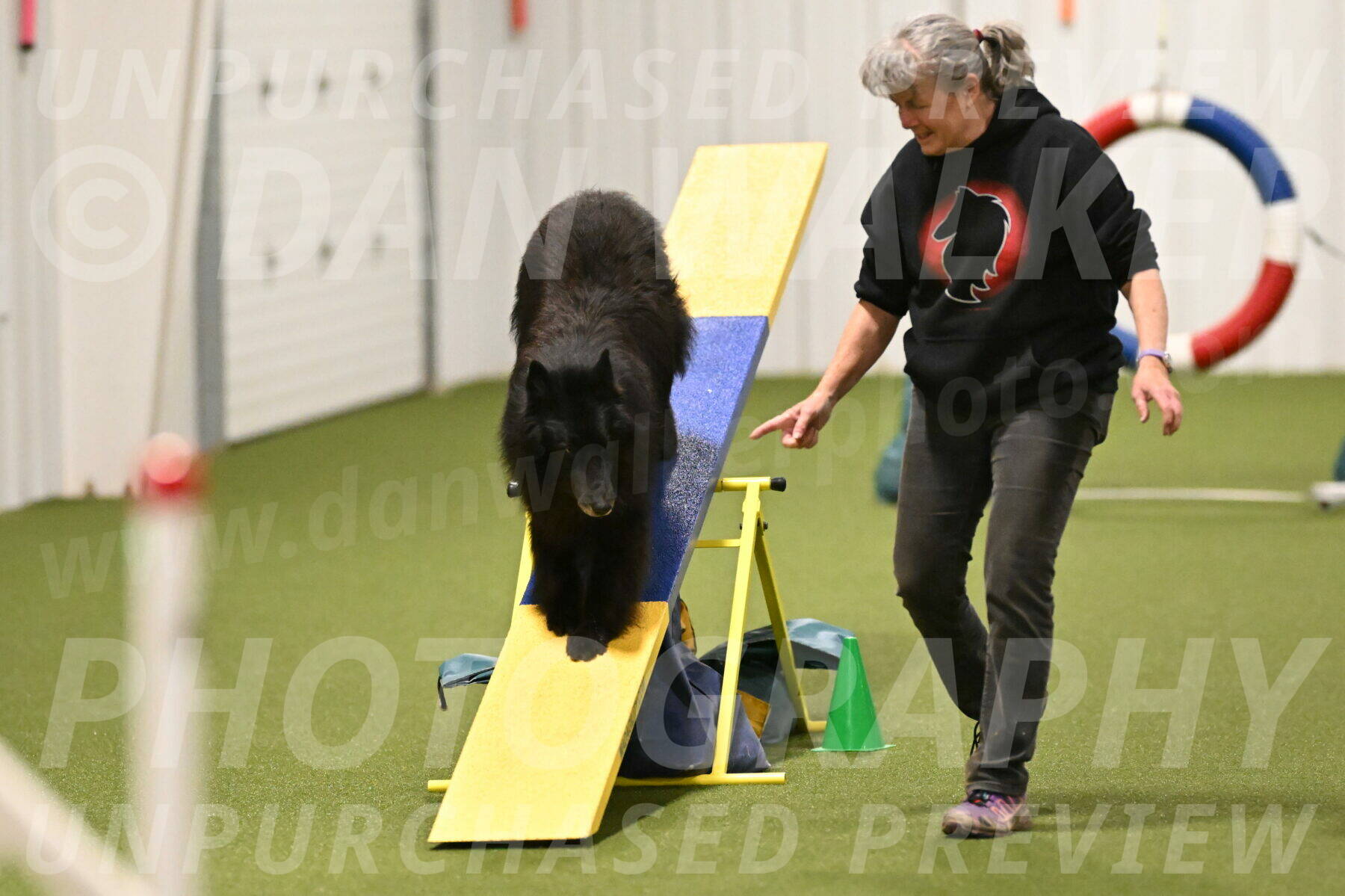 Grande-Viola-Dyer-04824