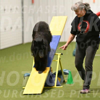 Grande-Viola-Dyer-04824