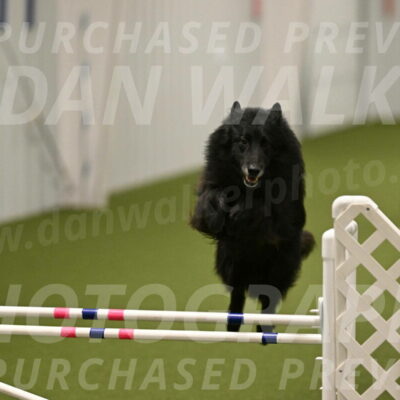 Grande-Viola-Dyer-04825