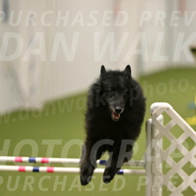 Grande-Viola-Dyer-04829