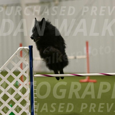 Grande-Viola-Dyer-04835