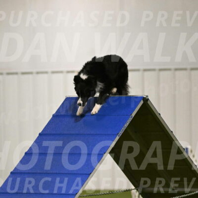Grant-Sharon-Muller-02568