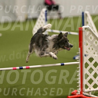 Grindylow-Robert-Rachow-03012