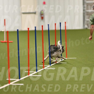 Grindylow-Robert-Rachow-03015