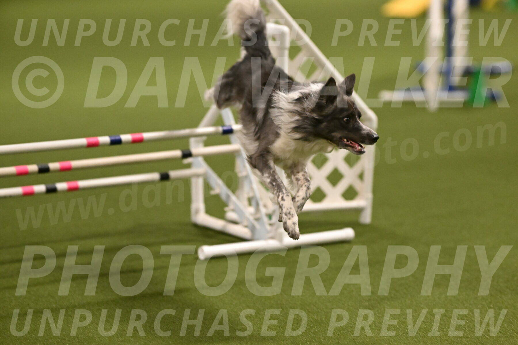 Grindylow-Robert-Rachow-03027