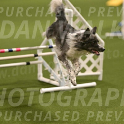 Grindylow-Robert-Rachow-03027