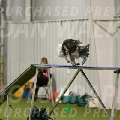 Grindylow-Robert-Rachow-03029