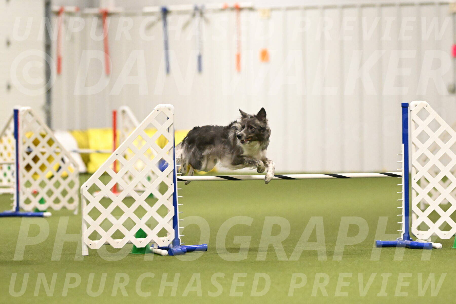 Grindylow-Robert-Rachow-03041