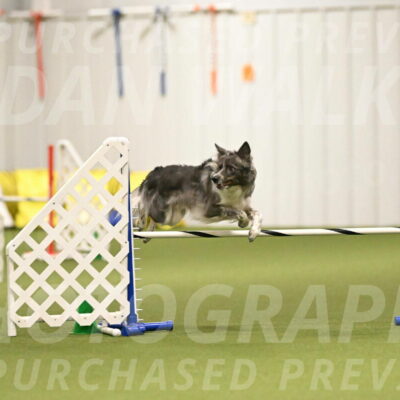 Grindylow-Robert-Rachow-03041