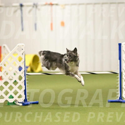 Grindylow-Robert-Rachow-03042