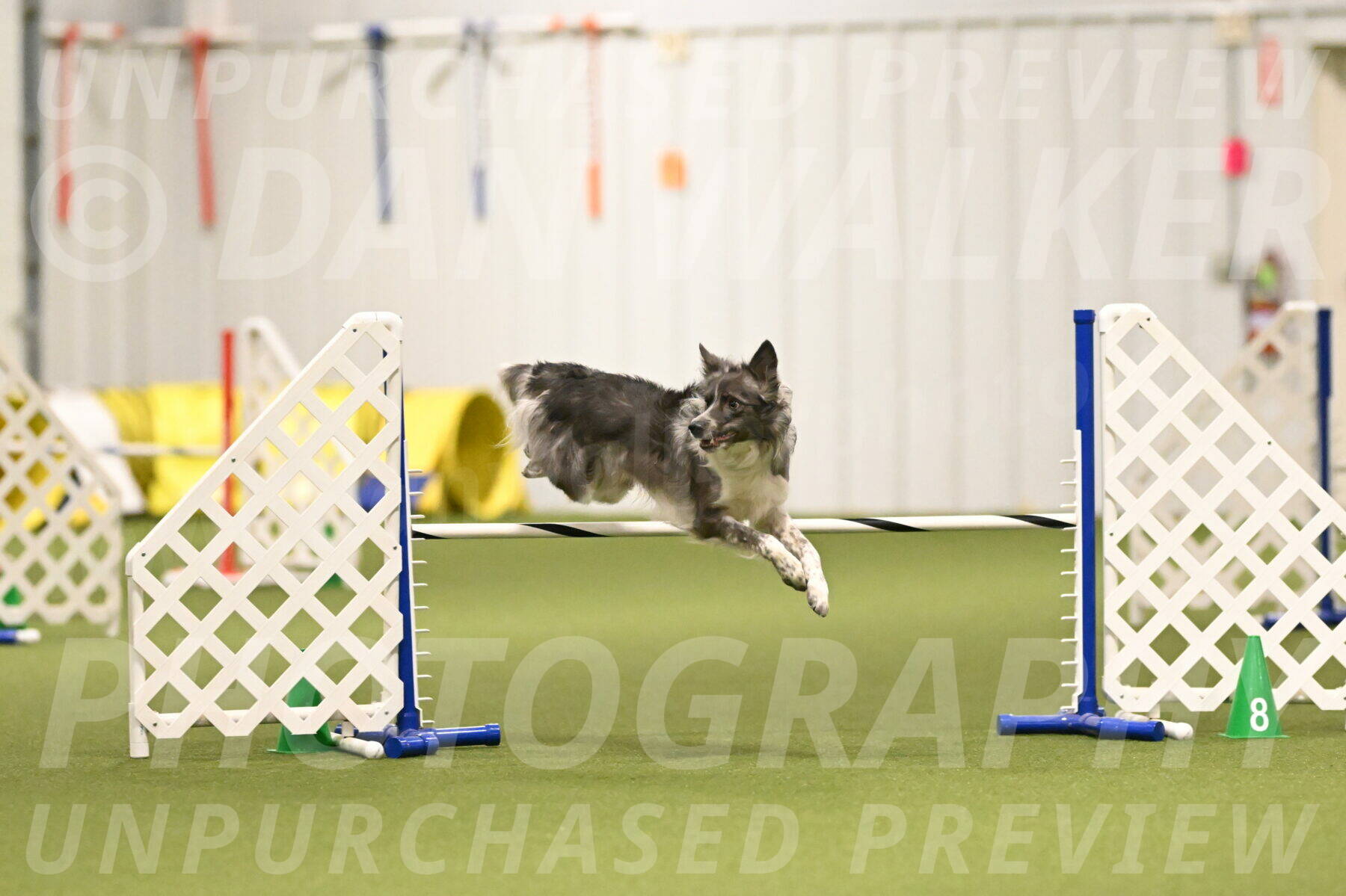 Grindylow-Robert-Rachow-03042
