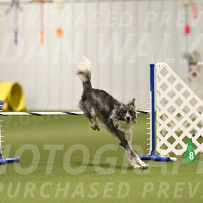 Grindylow-Robert-Rachow-03044