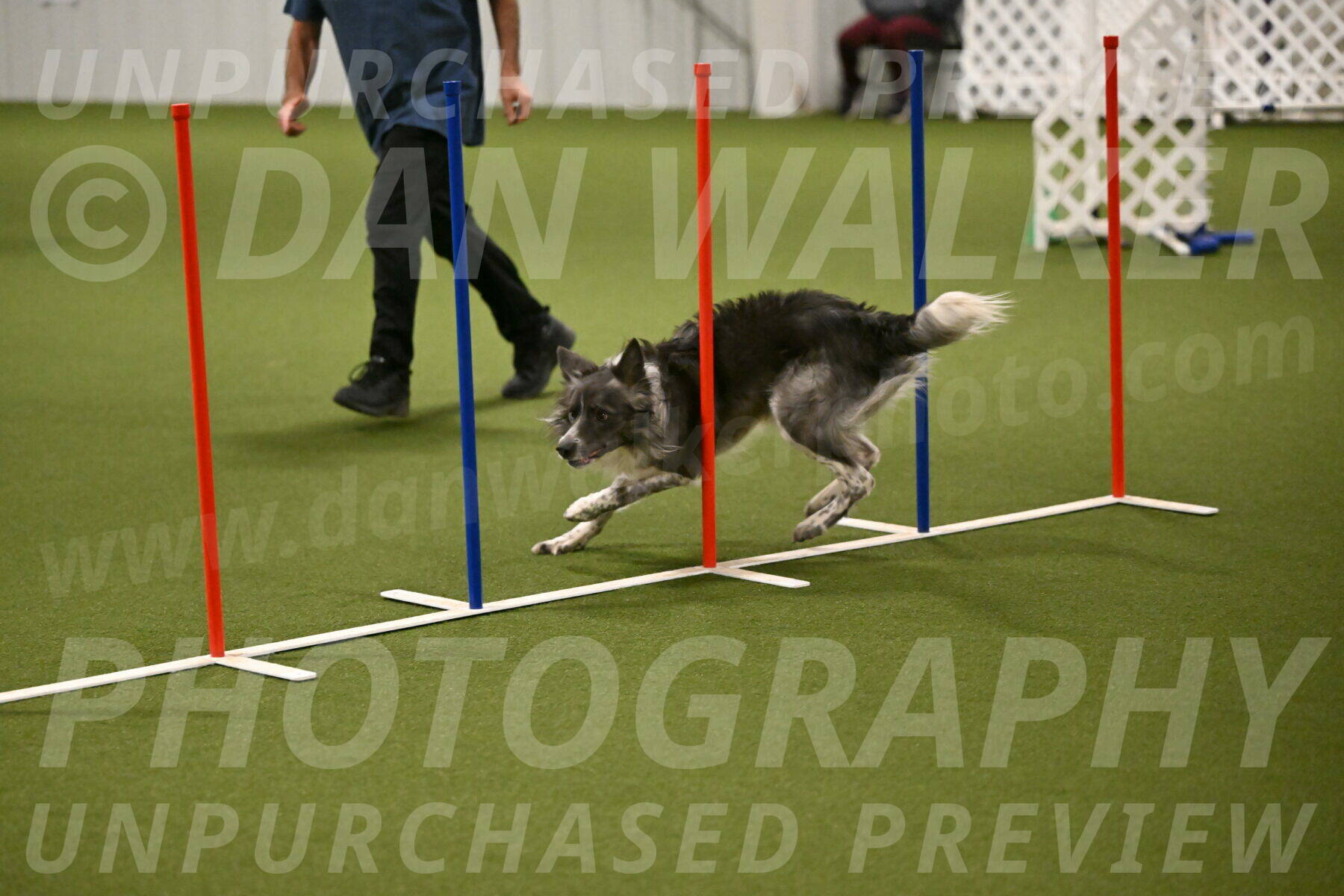 Grindylow-Robert-Rachow-03047