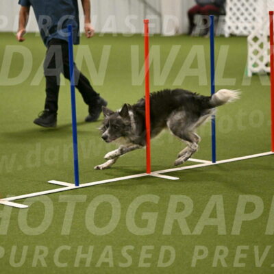 Grindylow-Robert-Rachow-03047