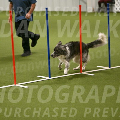 Grindylow-Robert-Rachow-03048