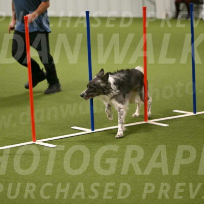 Grindylow-Robert-Rachow-03049