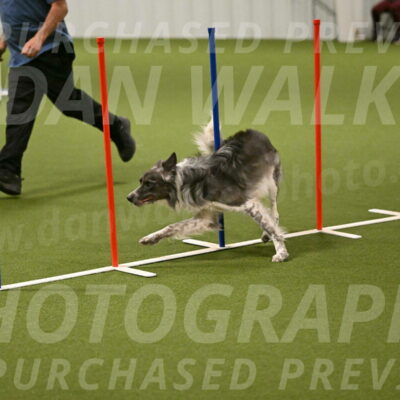 Grindylow-Robert-Rachow-03050