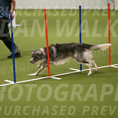 Grindylow-Robert-Rachow-03051