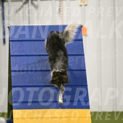 Grindylow-Robert-Rachow-03054