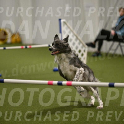 Grindylow-Robert-Rachow-03065