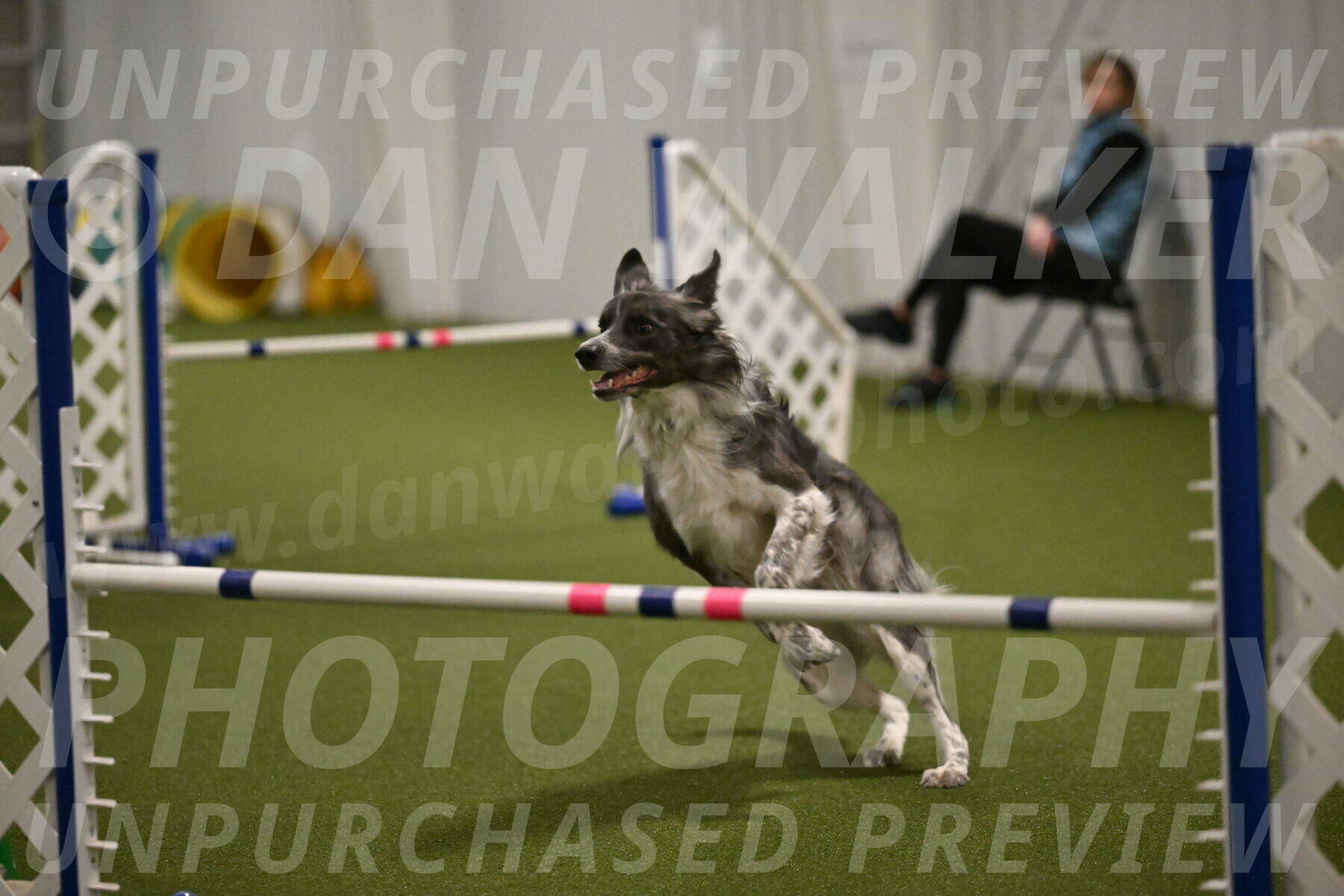 Grindylow-Robert-Rachow-03065