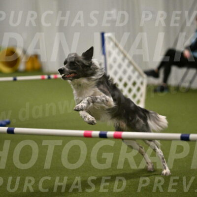 Grindylow-Robert-Rachow-03066