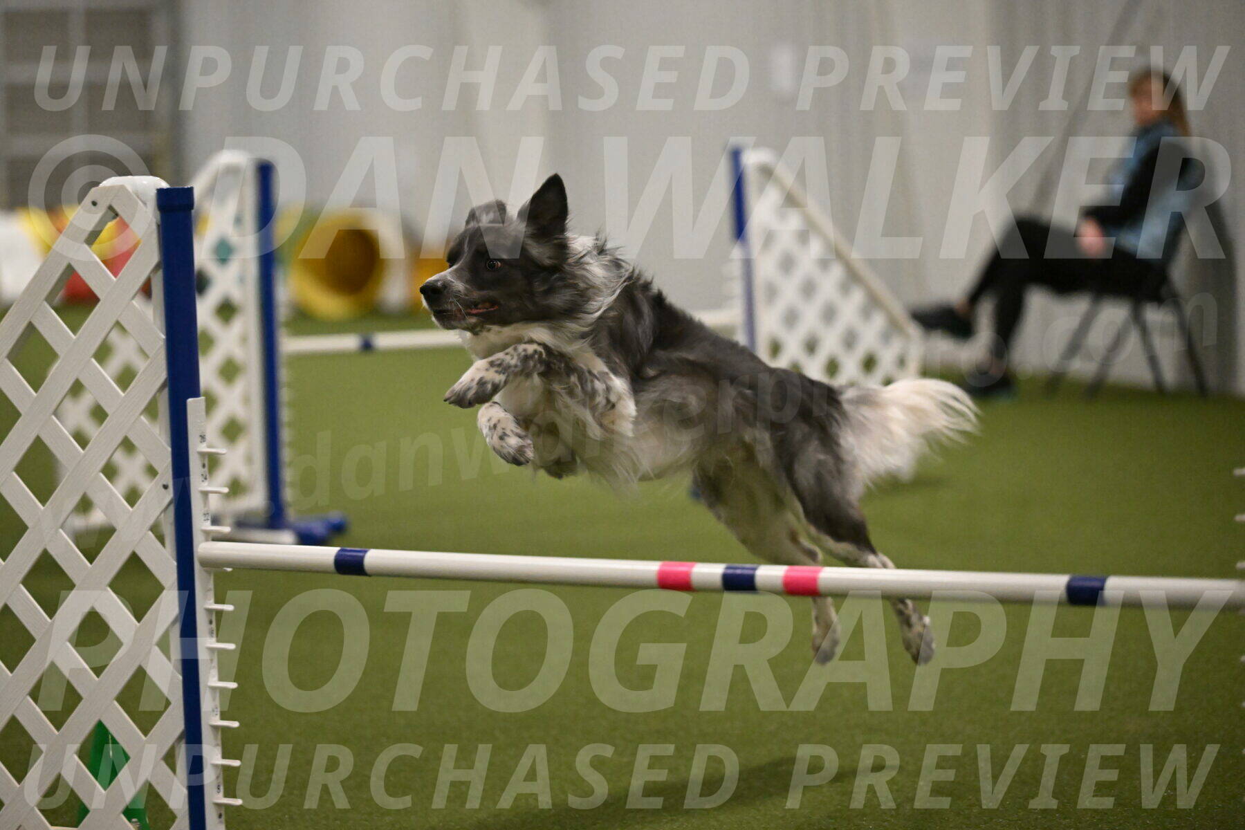 Grindylow-Robert-Rachow-03067