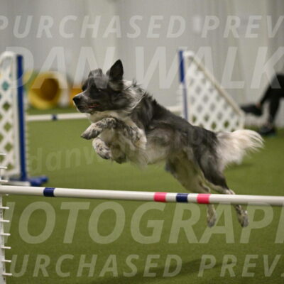 Grindylow-Robert-Rachow-03067
